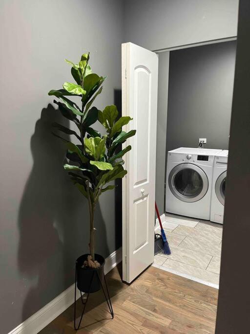 Neutral Spiraled Vibes Apartment Chicago Ngoại thất bức ảnh